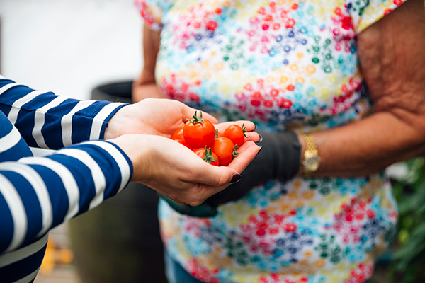 Community-engagement-for-Indigenous-older-adults image of people sharing tomatoes
