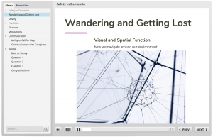 A screen grab of the e-learning module that reads "Wondering and Getting Lost"